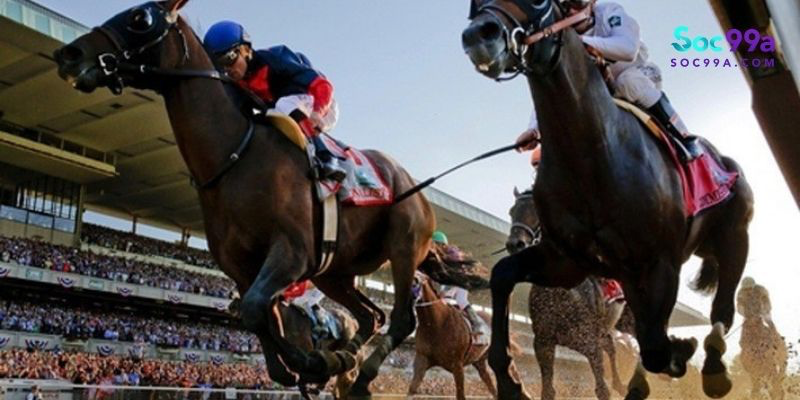 Mẹo cược đua ngựa