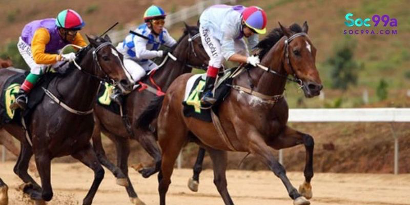Mẹo cược đua ngựa