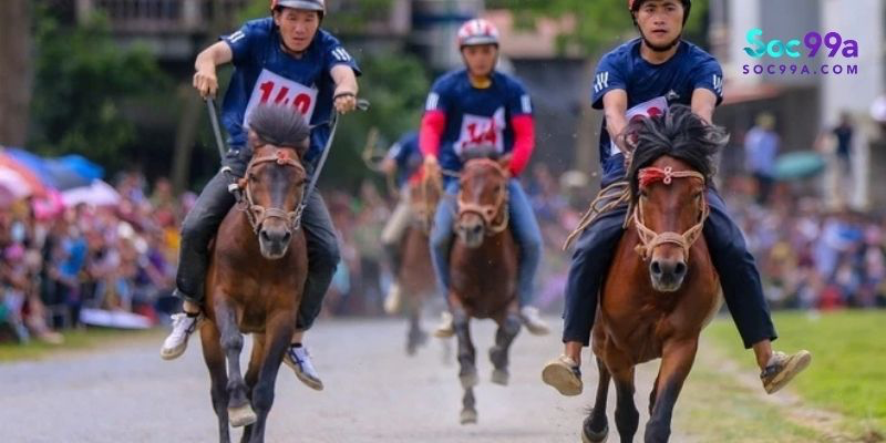 Mẹo cược đua ngựa